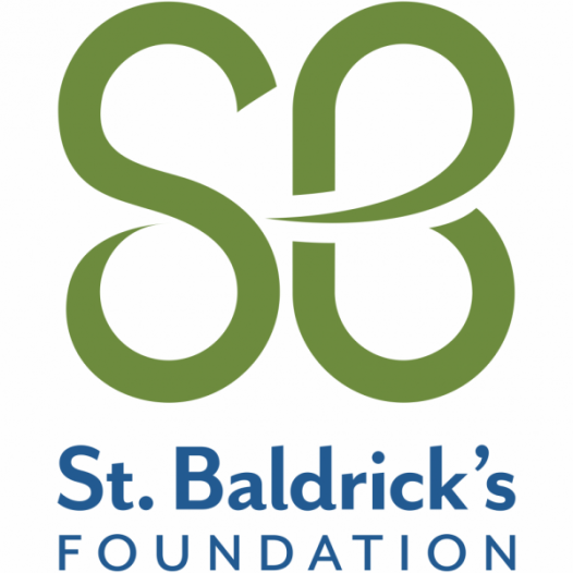 Grant Application Information and Guidelines for the FIGHT KIDS CANCER & St Baldrick’s Foundation Arceci Innovation Award