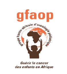 New training course “Leaders of pediatric oncology in Africa” by the GFAOP