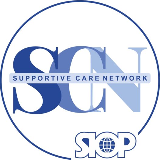 Supportive Care Network Leadership Positions: Nominations are Welcome