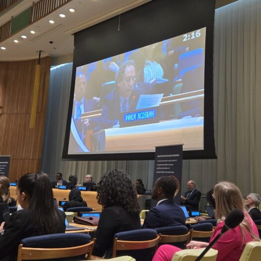 SIOP at the UN President of the General Assembly 79th Session 
